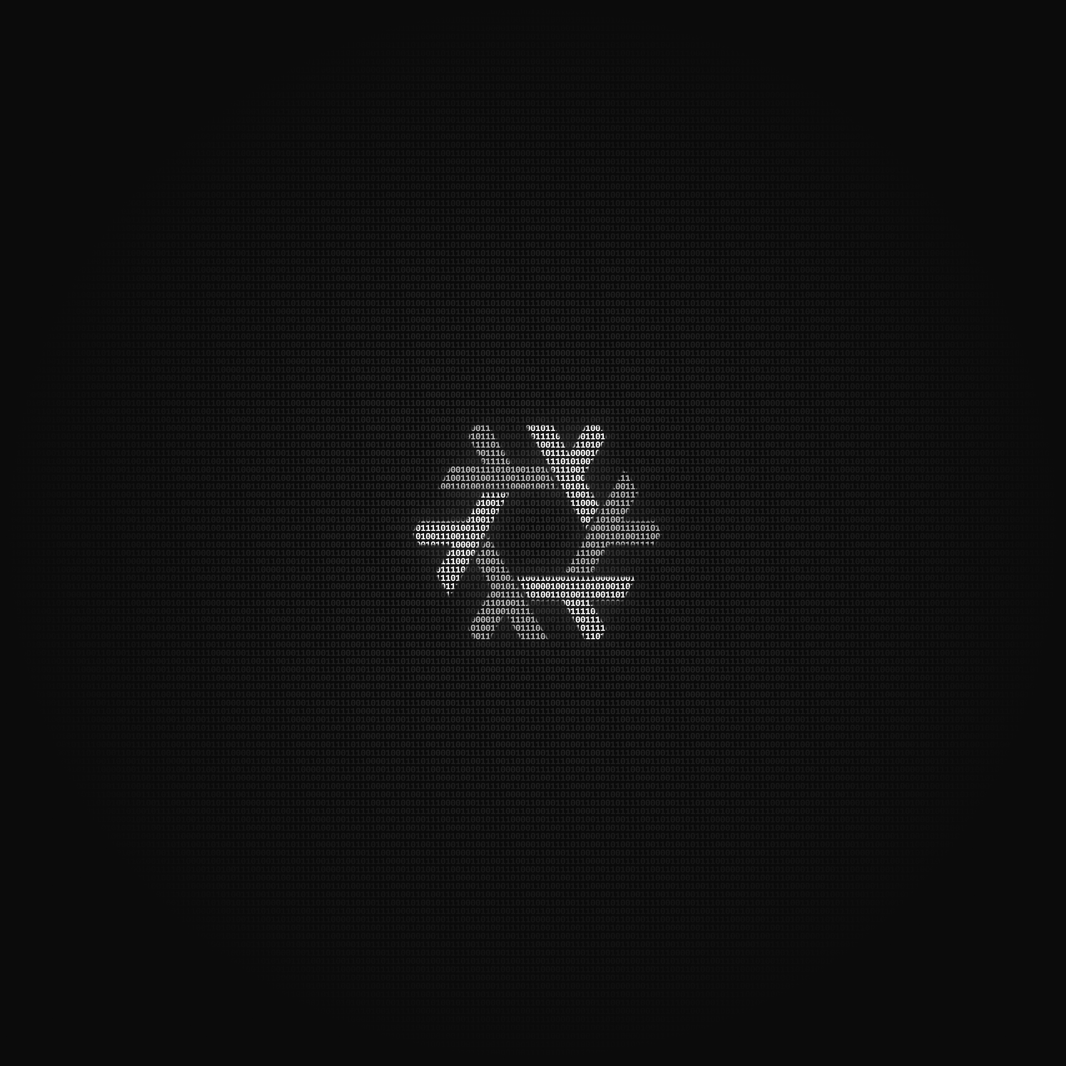 das einer Schneeflocke gleichende NixOS logo, weiß auf schwarzem grund, bestehend aus 0 und 1 